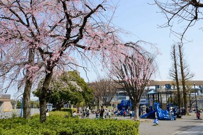 🌳 토도로키 녹지 (等々力緑地)